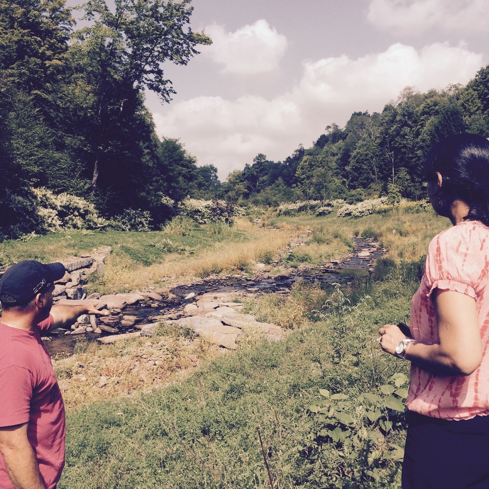 Project team looking at the improved Third Brook