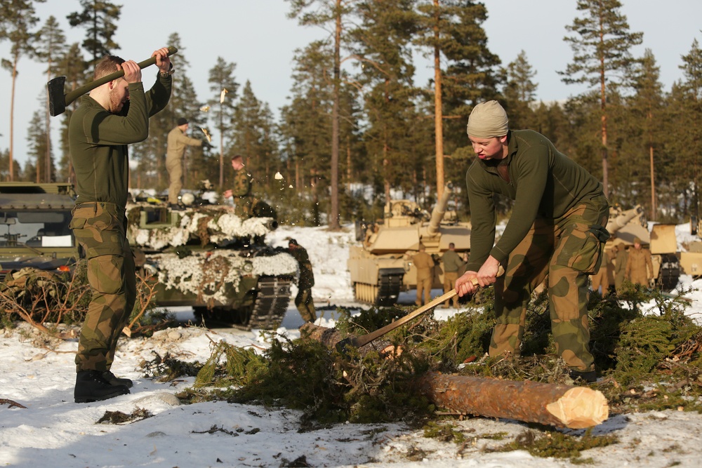 Norway Takes 'Host Nation Support' to a New Level: Firewood Supply