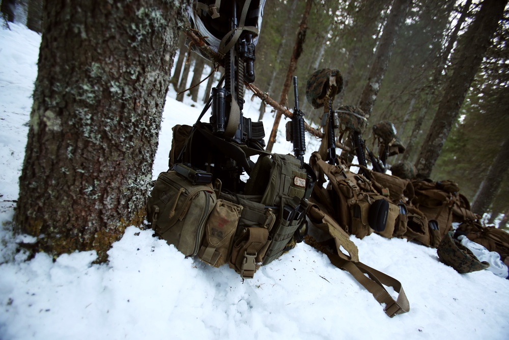 Bivouac in the Norwegian forest