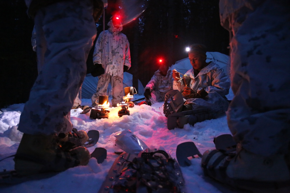 Campfire Stories in the Norwegian Wilderness
