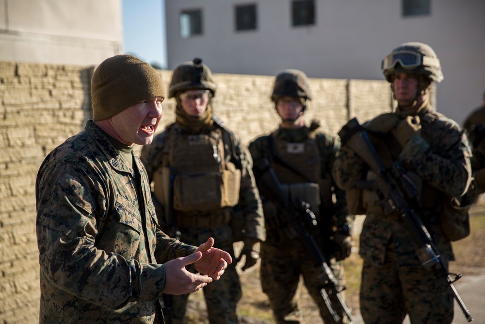 2D Low Altitude Air Defense Battalion Practices Ground Tactics