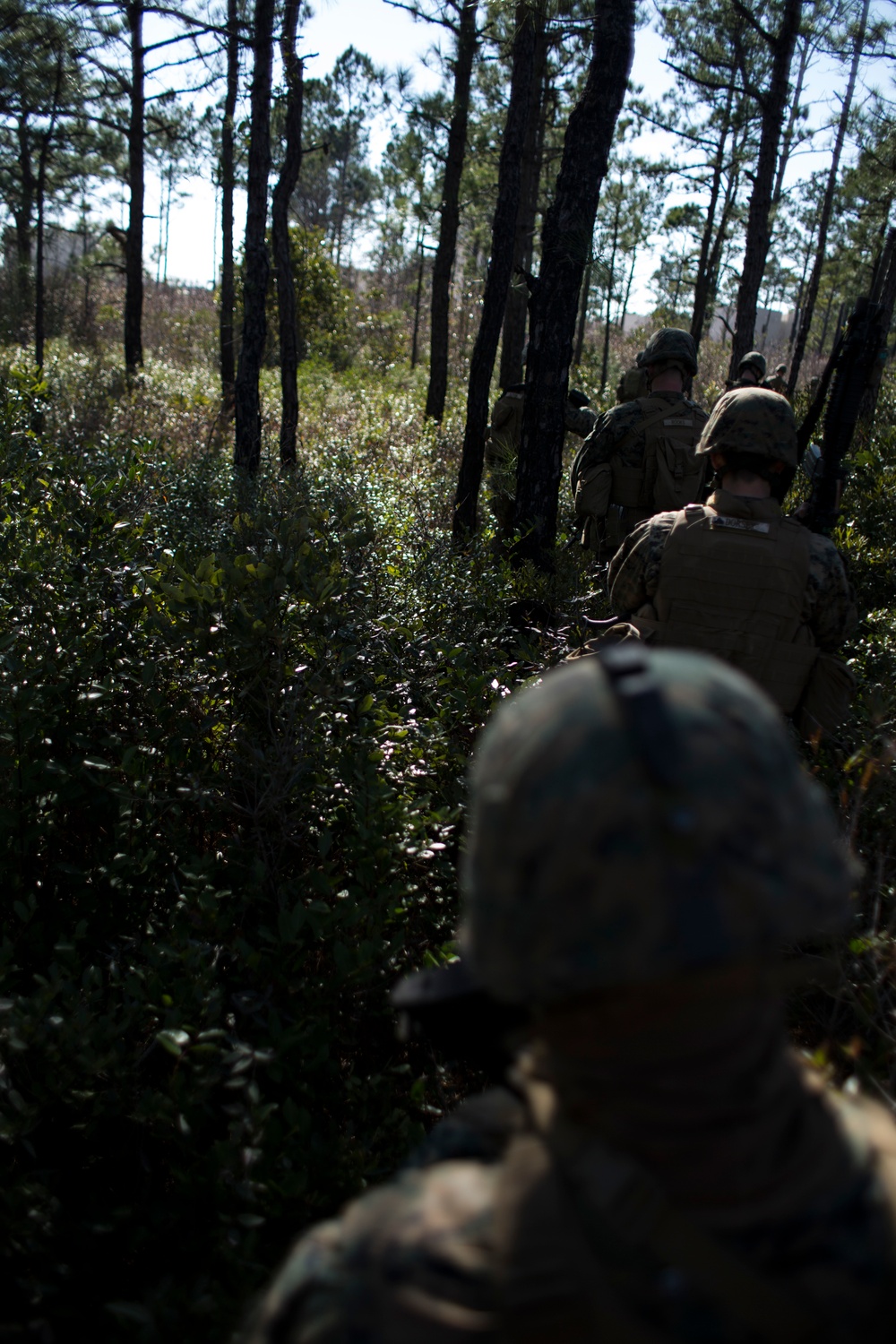 2D Low Altitude Air Defense Battalion Practices Ground Tactics