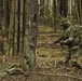 Palehorse Troop, 2CR conducts live-fire exercise