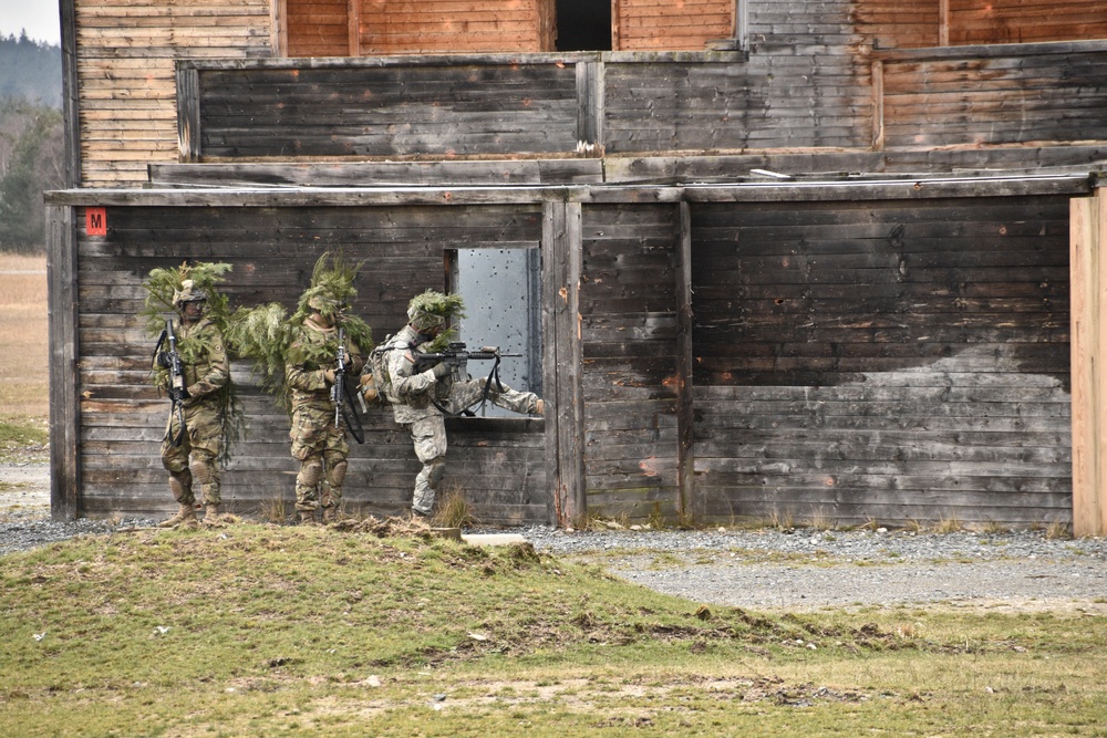 DVIDS - Images - Palehorse Troop, 2CR conducts live-fire exercise ...