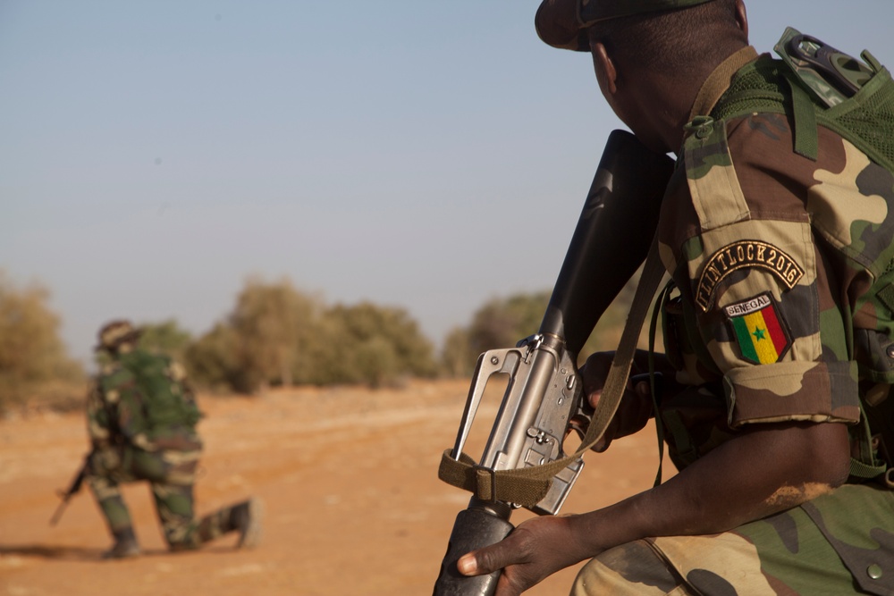 Senegalese, US troops at Flintlock 16