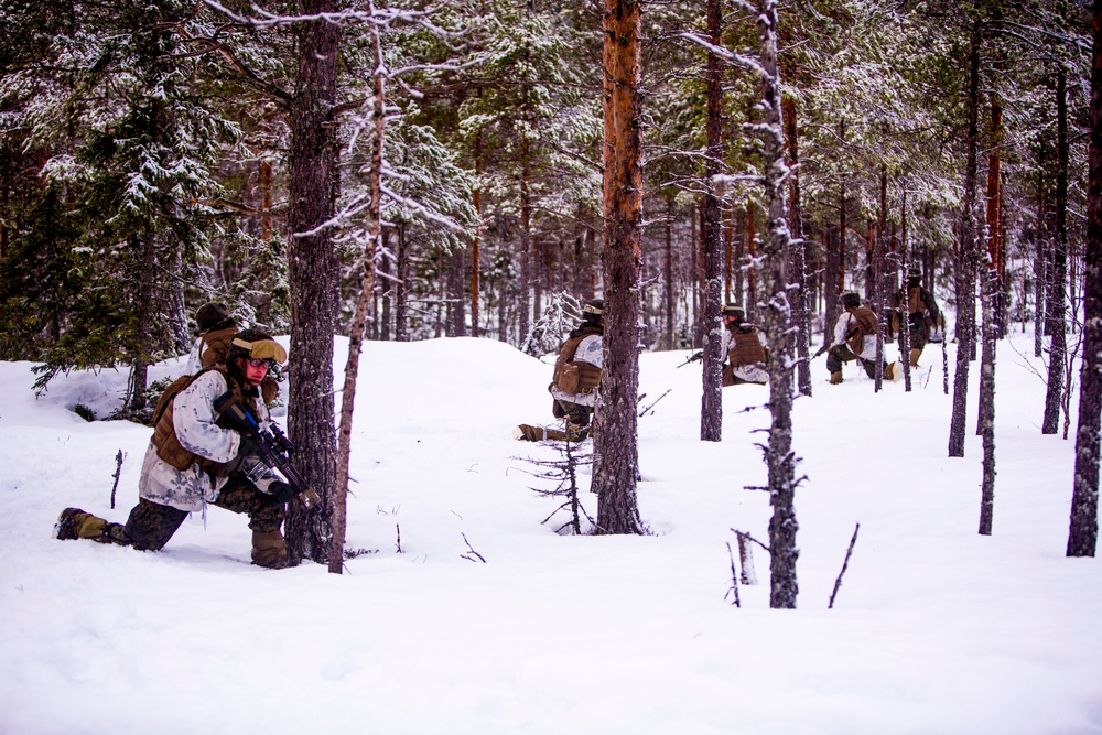 3/2 Shoots the Norwegian Hillside