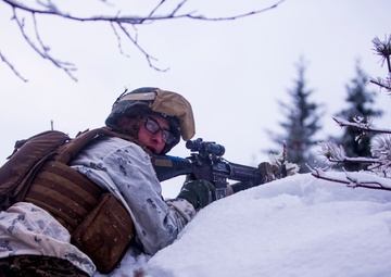 3/2 Shoots the Norwegian Hillside