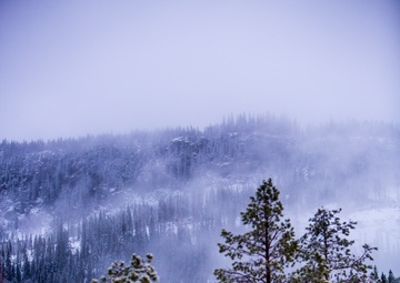 3/2 Shoots the Norwegian Hillside