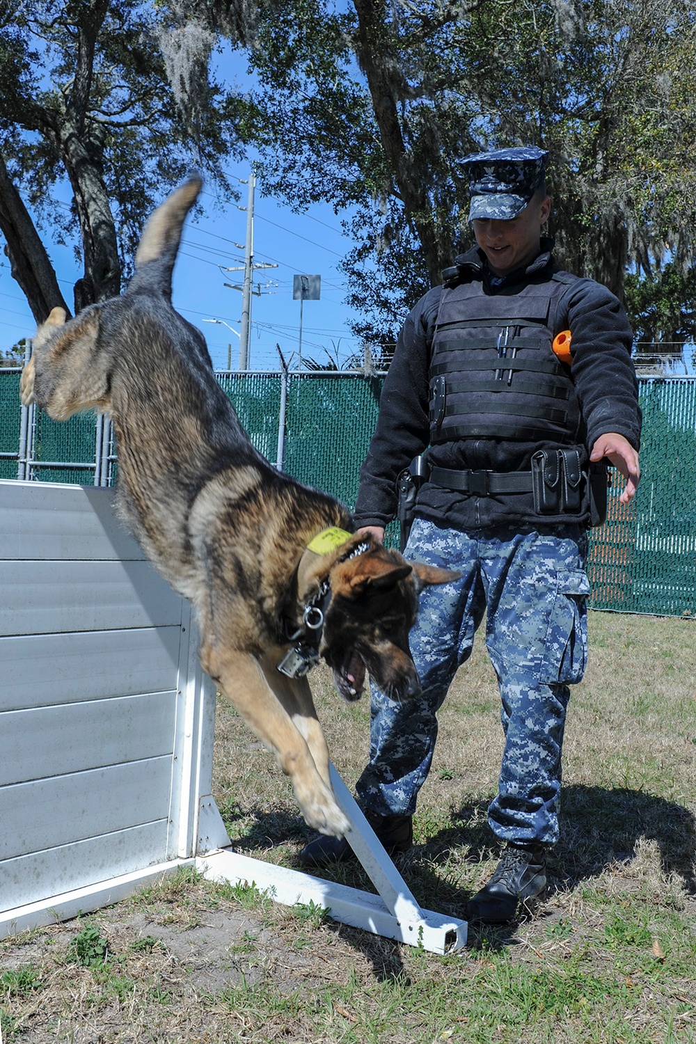 Naval Station Mayport MWD training