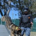 Naval Station Mayport MWD training