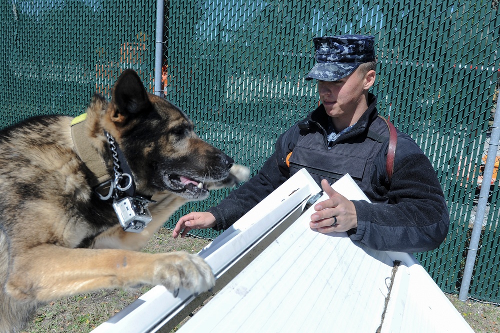 Naval Station Mayport MWD training