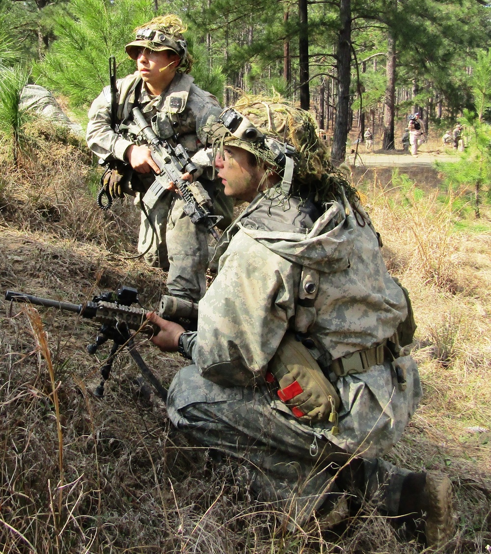 Snipers need commanders to learn how to use them - Task & Purpose