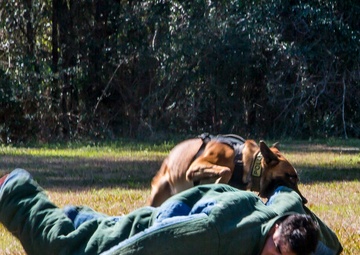 Wish granted: Teen trains with MCAS Beaufort Marines for a day