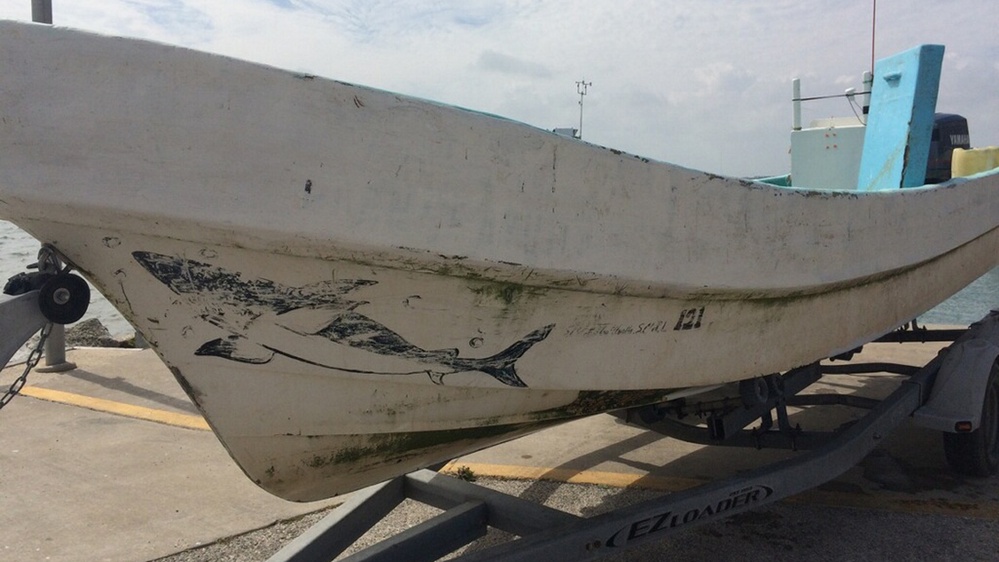 Coast Guard seizes sharks and snapper from lancha in Gulf Coast waters