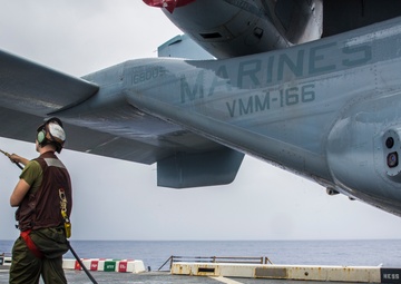 Who run the birds?: Maintainers