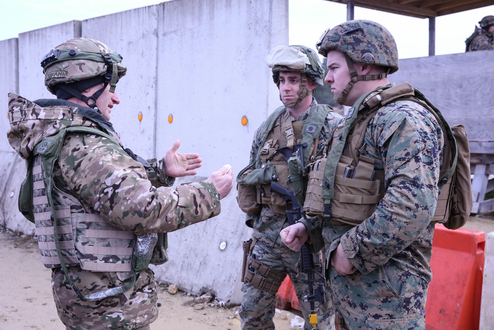 Georgian mission rehearsal exercise