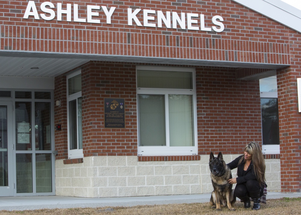 Bringing a part of Josh home: MWD of fallen handler adopted by family