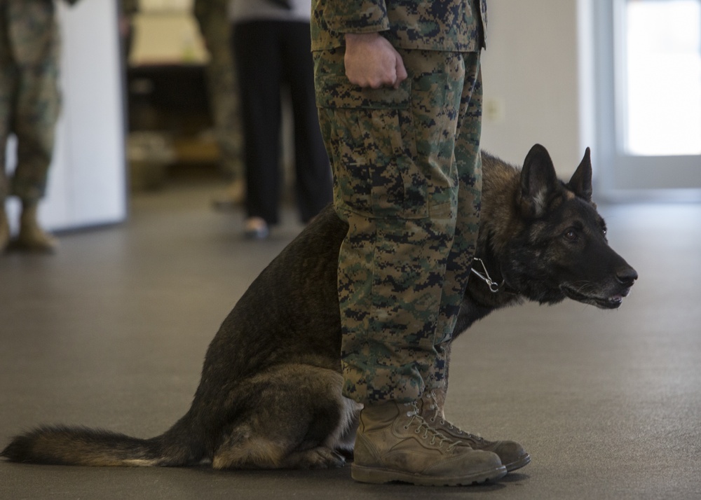 Bringing a part of Josh home: MWD of fallen handler adopted by family