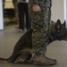 Bringing a part of Josh home: MWD of fallen handler adopted by family