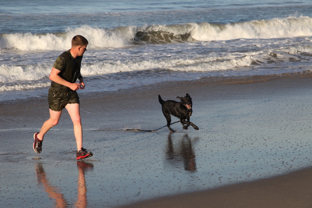 MARSOC Multi-Purpose Canine Subject Matter Expert Exchange Conference