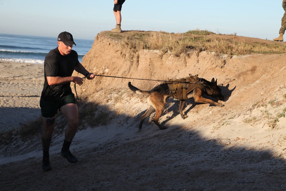 MARSOC Multi-Purpose Canine Subject Matter Expert Exchange Conference