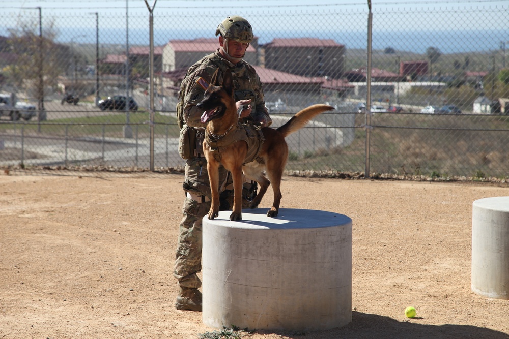 MARSOC Multi-Purpose Canine Subject Matter Expert Exchange Conference