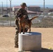 MARSOC Multi-Purpose Canine Subject Matter Expert Exchange Conference