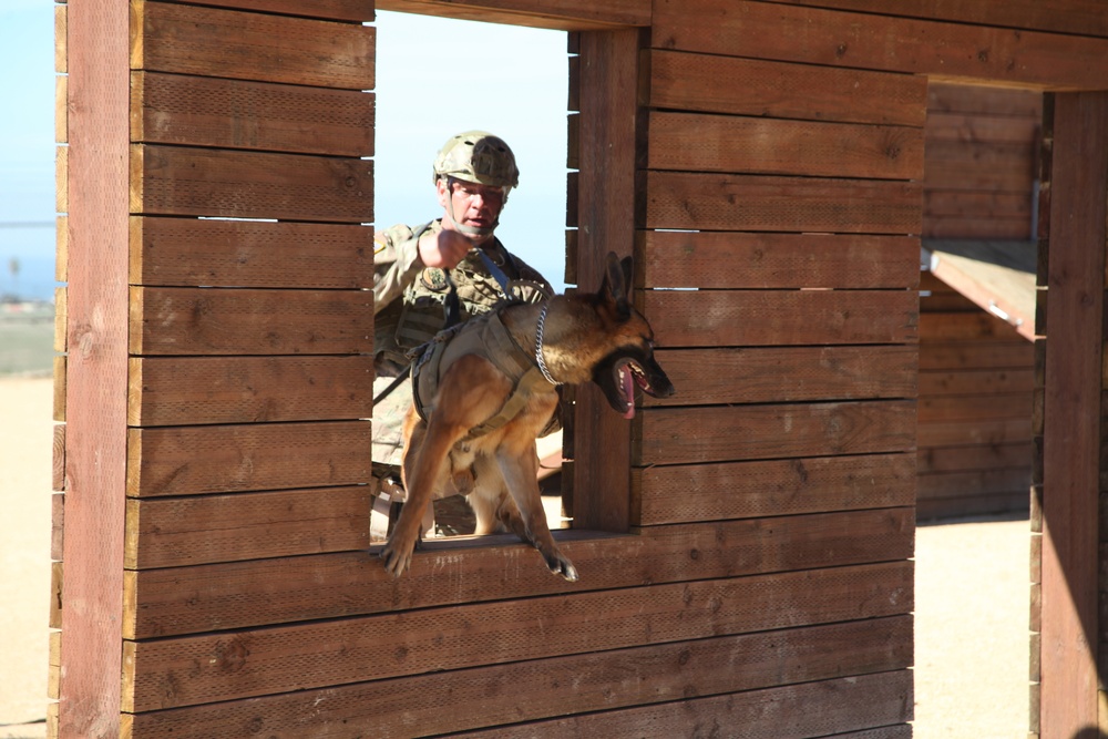 MARSOC Multi-Purpose Canine Subject Matter Expert Exchange Conference