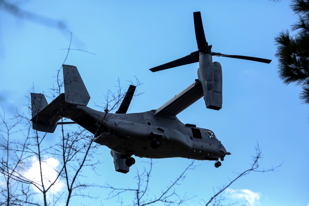 Marine Air-Ground team conducts large scale assault, offensive air support operations during Eager Response 16