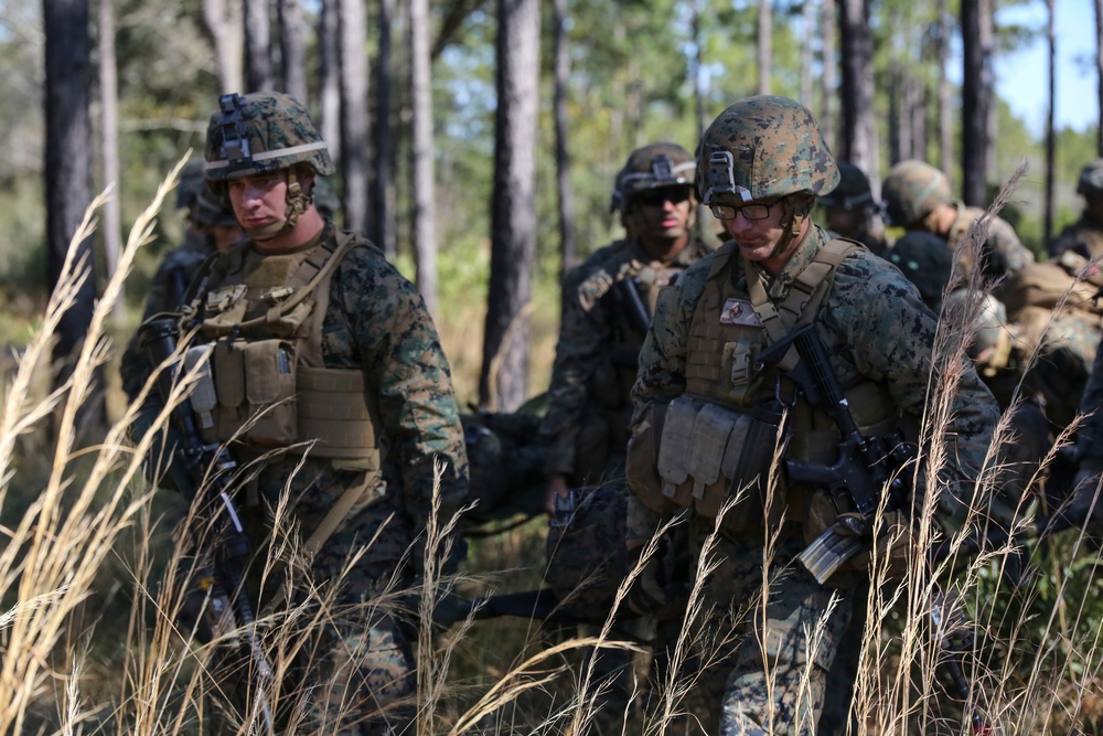 Marine Air-Ground team conducts large scale assault, offensive air support operations during Eager Response 16