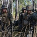 Marine Air-Ground team conducts large scale assault, offensive air support operations during Eager Response 16