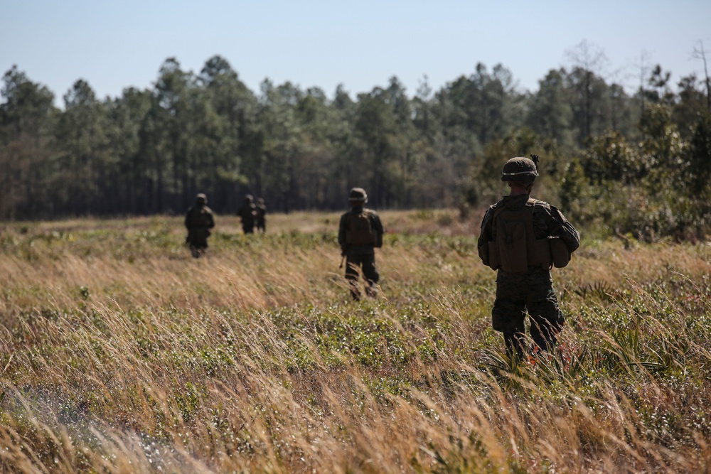 Marine Air-Ground team conducts large scale assault, offensive air support operations during Eager Response 16