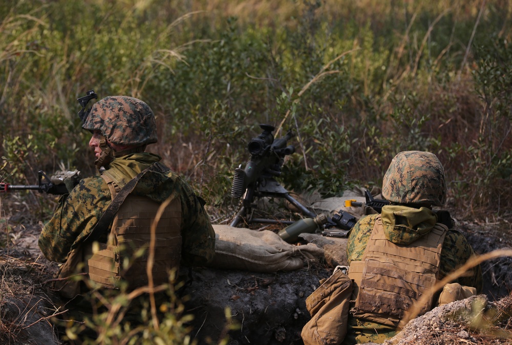 Marine Air-Ground team conducts large scale assault, offensive air support operations during Eager Response 16