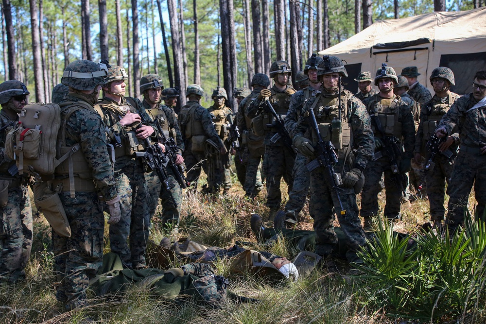 Marine Air-Ground team conducts large scale assault, offensive air support operations during Eager Response 16