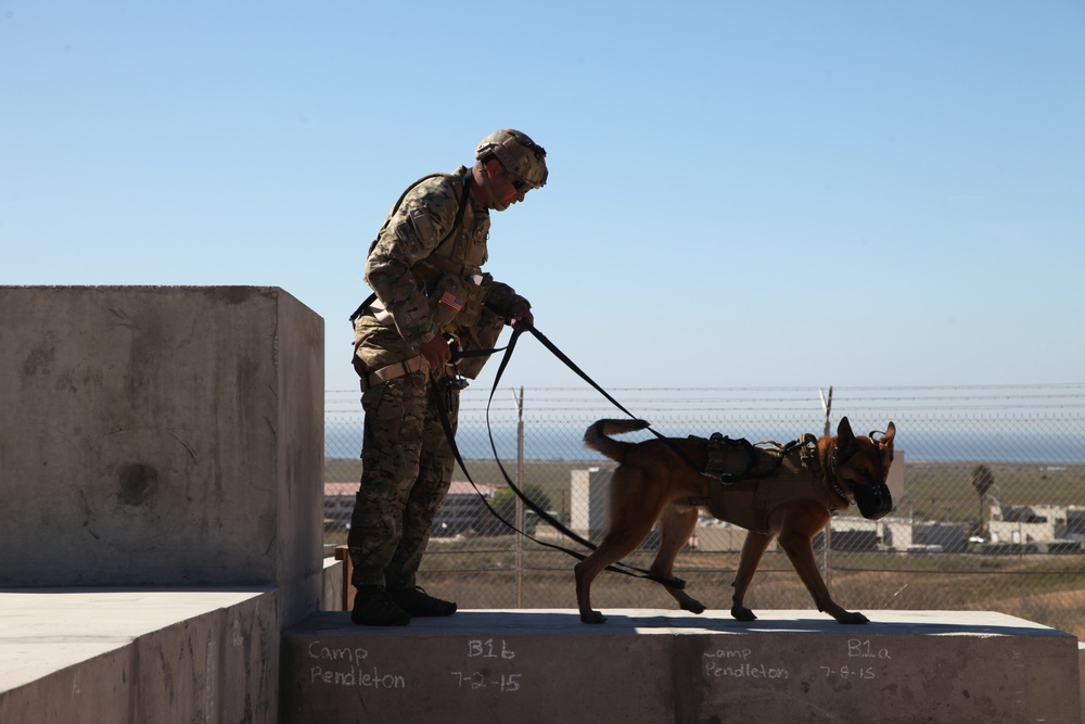 MARSOC Multi-Purpose Canine Subject Matter Expert Exchange Conference