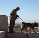 MARSOC Multi-Purpose Canine Subject Matter Expert Exchange Conference