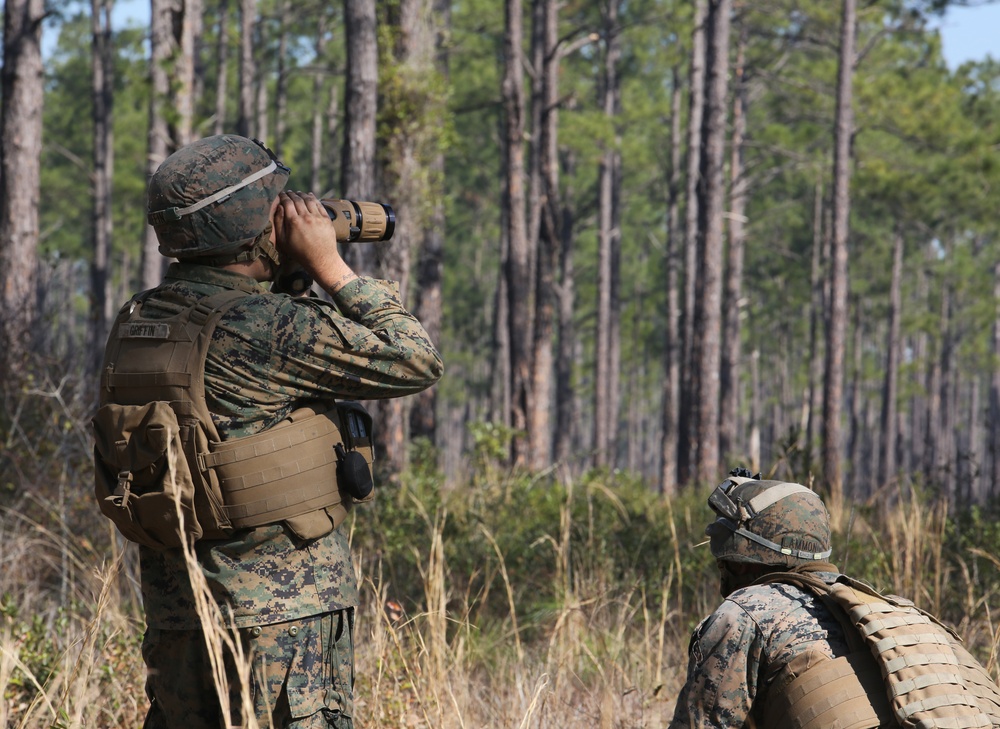 Marine Air-Ground team conducts large scale assault, offensive air support operations during Eager Response 16