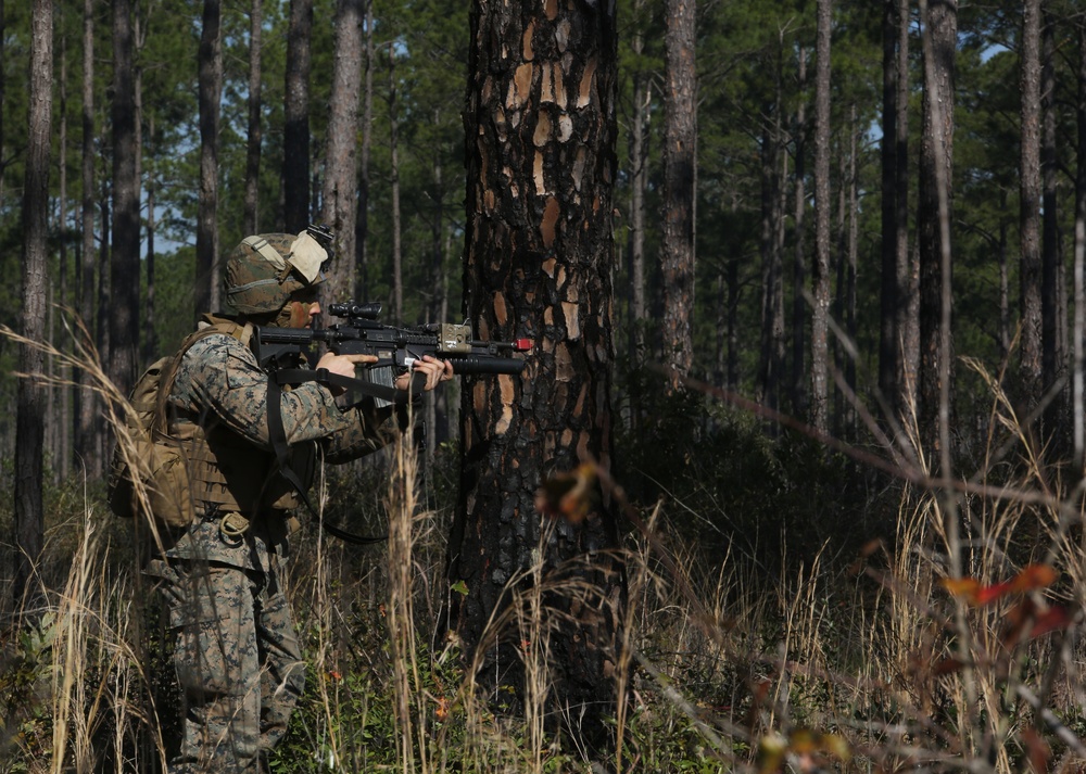 Marine Air-Ground team conducts large scale assault, offensive air support operations during Eager Response 16