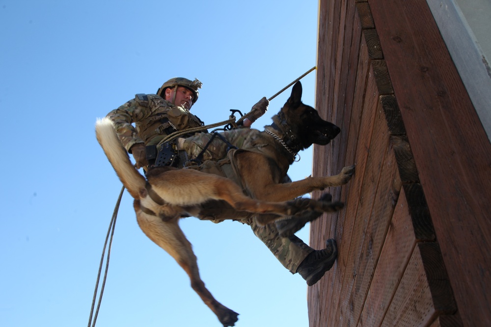 MARSOC Multi-Purpose Canine Subject Matter Expert Exchange Conference