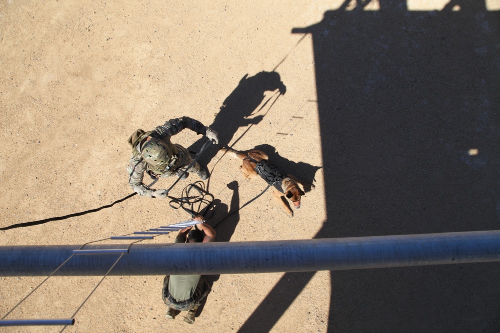 MARSOC Multi-Purpose Canine Subject Matter Expert Exchange Conference