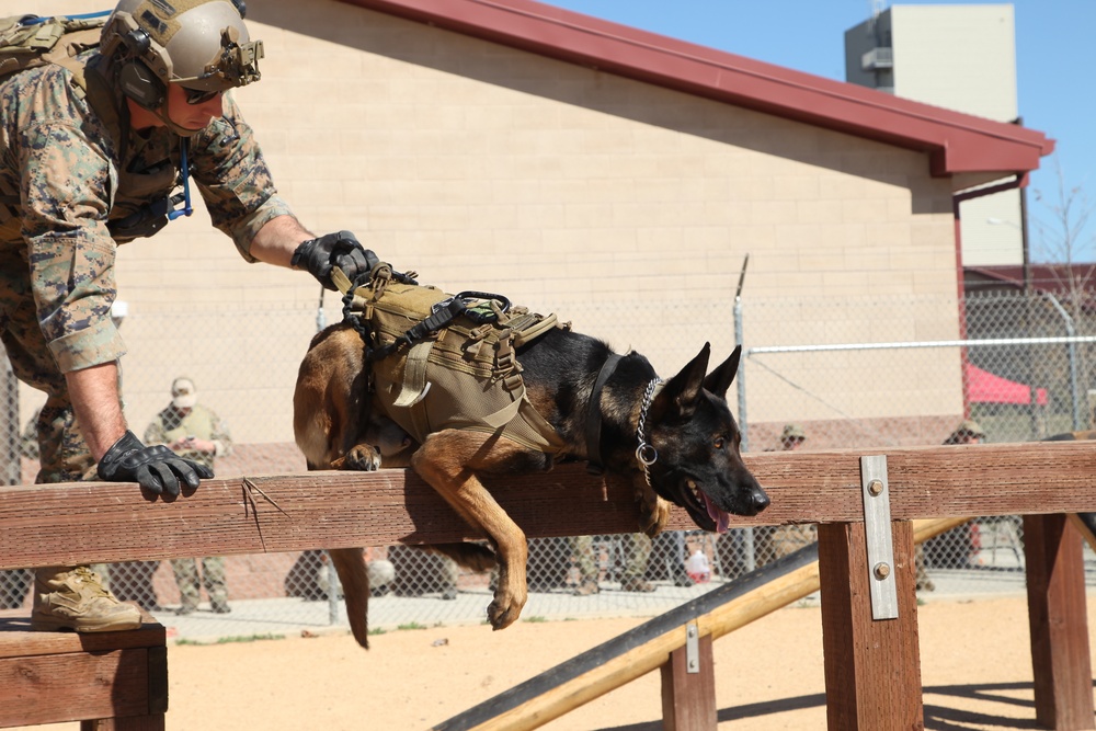 MARSOC Multi-Purpose Canine Subject Matter Expert Exchange Conference