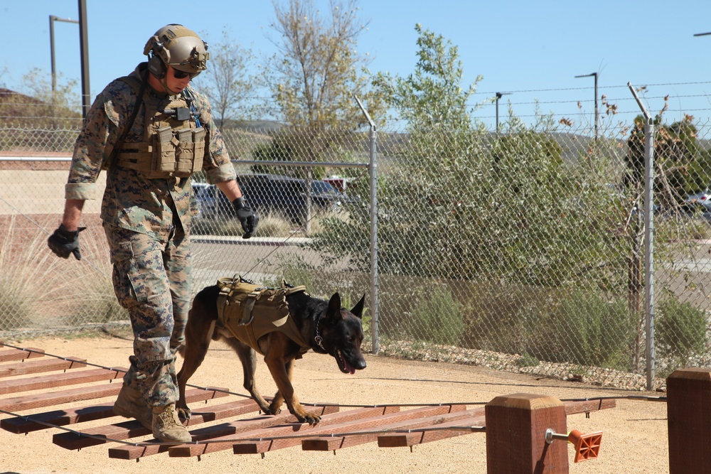 MARSOC Multi-Purpose Canine Subject Matter Expert Exchange Conference