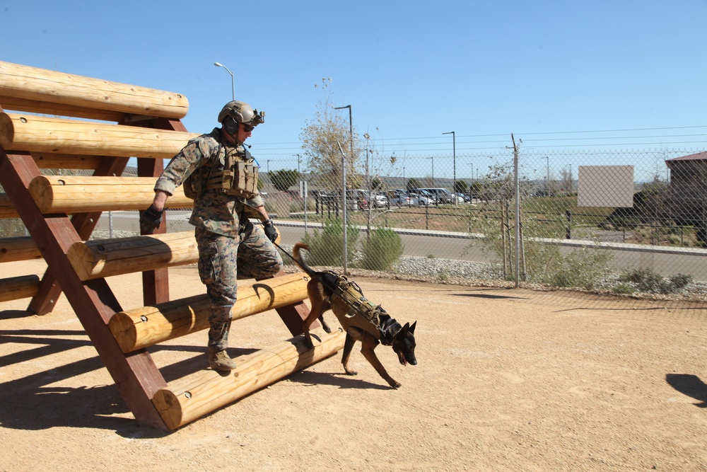 MARSOC Multi-Purpose Canine Subject Matter Expert Exchange Conference