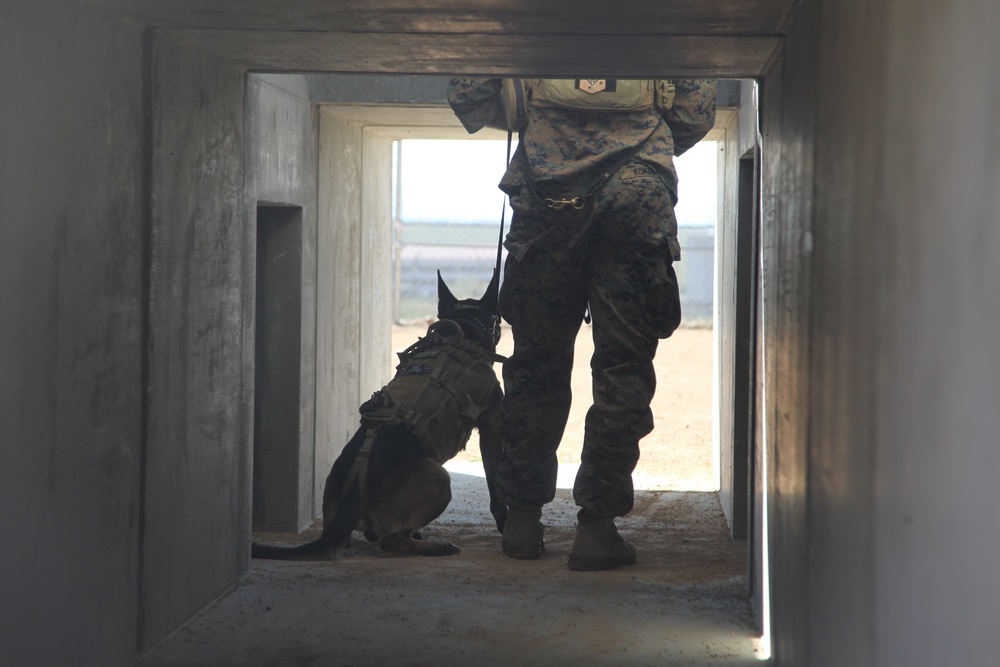 MARSOC Multi-Purpose Canine Subject Matter Expert Exchange Conference