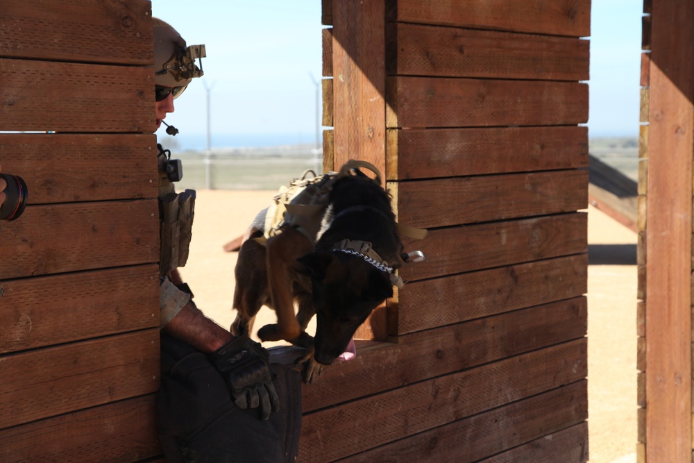 MARSOC Multi-Purpose Canine Subject Matter Expert Exchange Conference