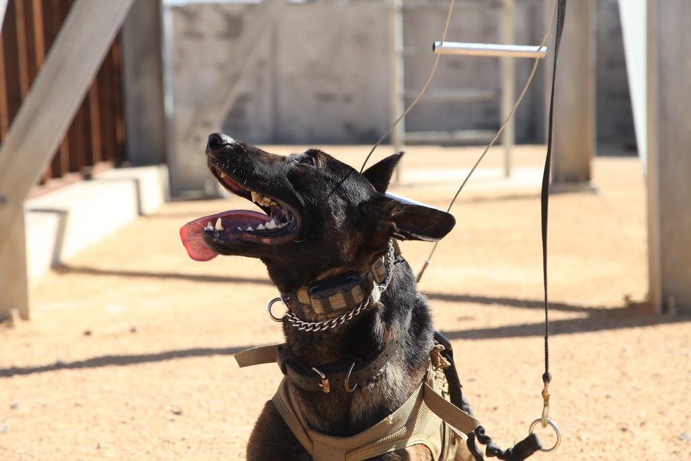 MARSOC Multi-Purpose Canine Subject Matter Expert Exchange Conference