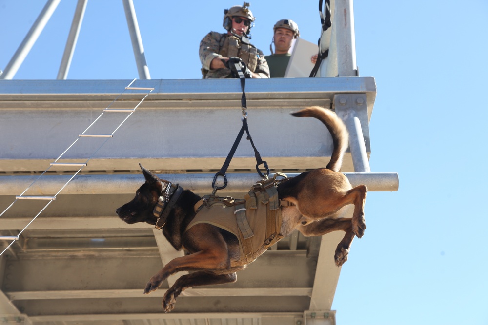 MARSOC Multi-Purpose Canine Subject Matter Expert Exchange Conference