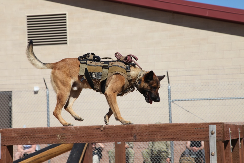 MARSOC Multi-Purpose Canine Subject Matter Expert Exchange Conference