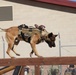 MARSOC Multi-Purpose Canine Subject Matter Expert Exchange Conference