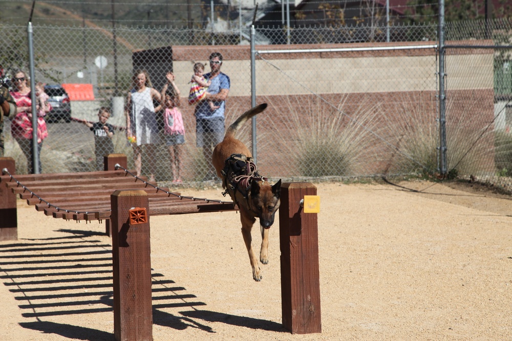 MARSOC Multi-Purpose Canine Subject Matter Expert Exchange Conference